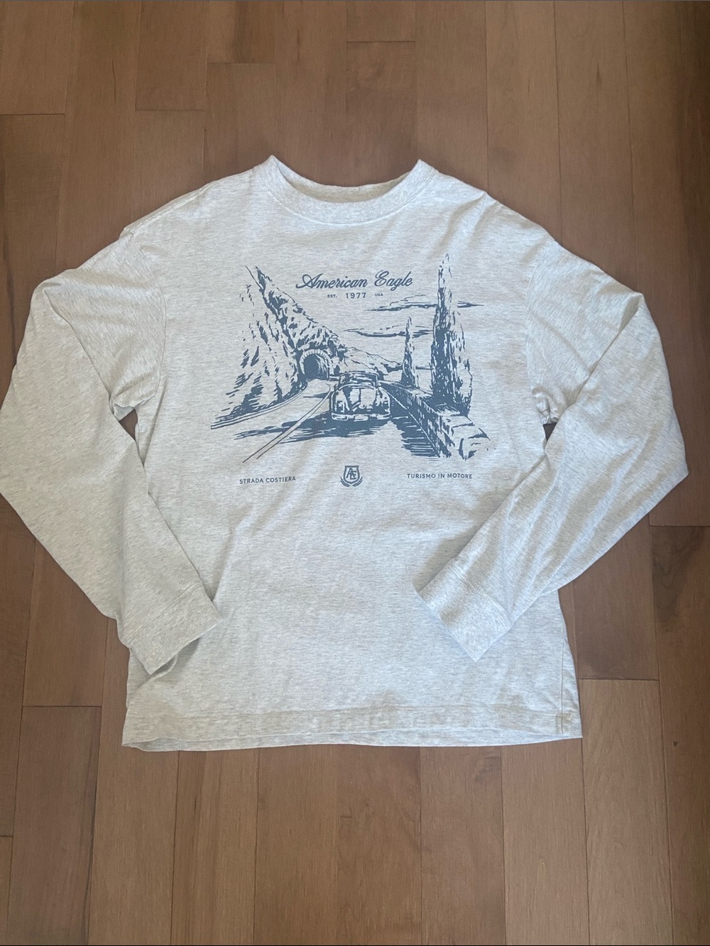 American Eagle Boxy Long Sleeve Graphic T-Shirt